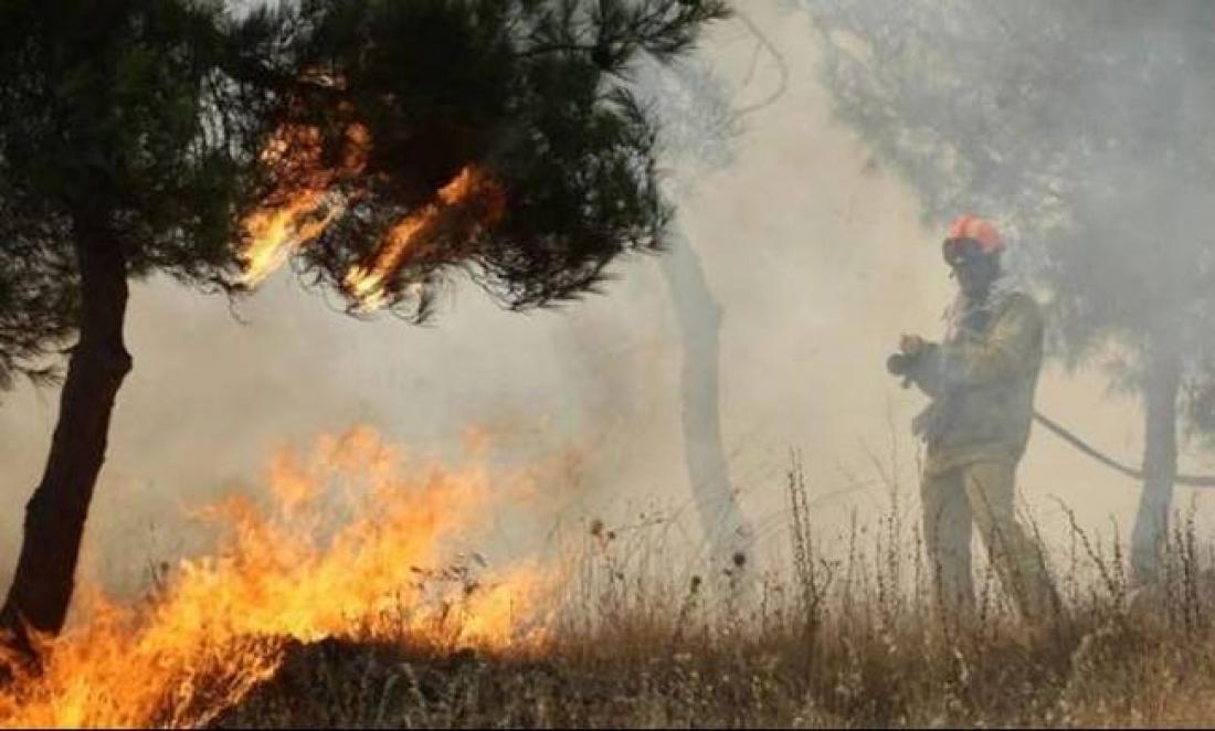 Φωτιά τώρα στην Ηλεία | ΕΛΛΑΔΑ | thepressroom.gr