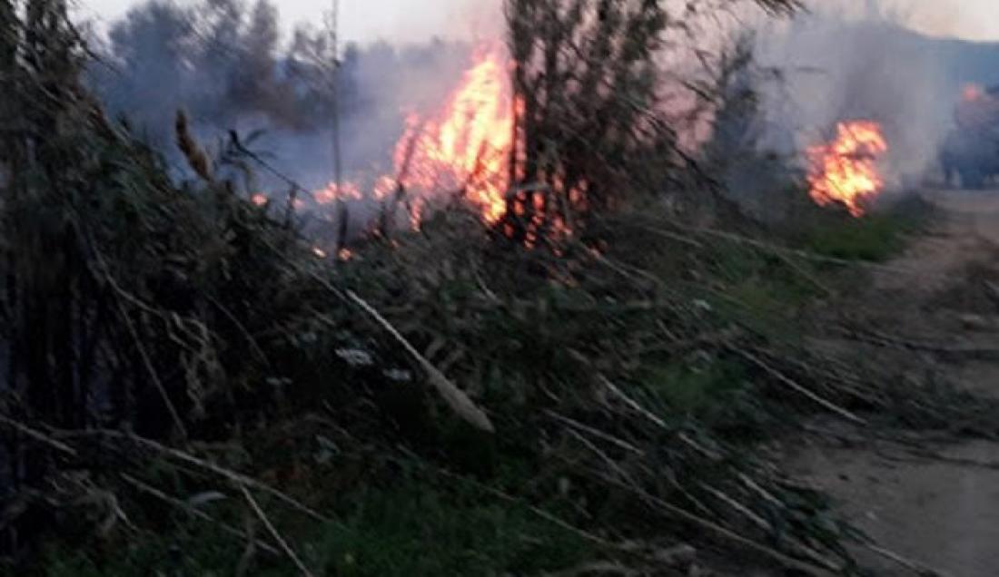 Φωτιά τώρα στην Παυλιάδα Αμφιλοχίας | ΕΛΛΑΔΑ | thepressroom.gr