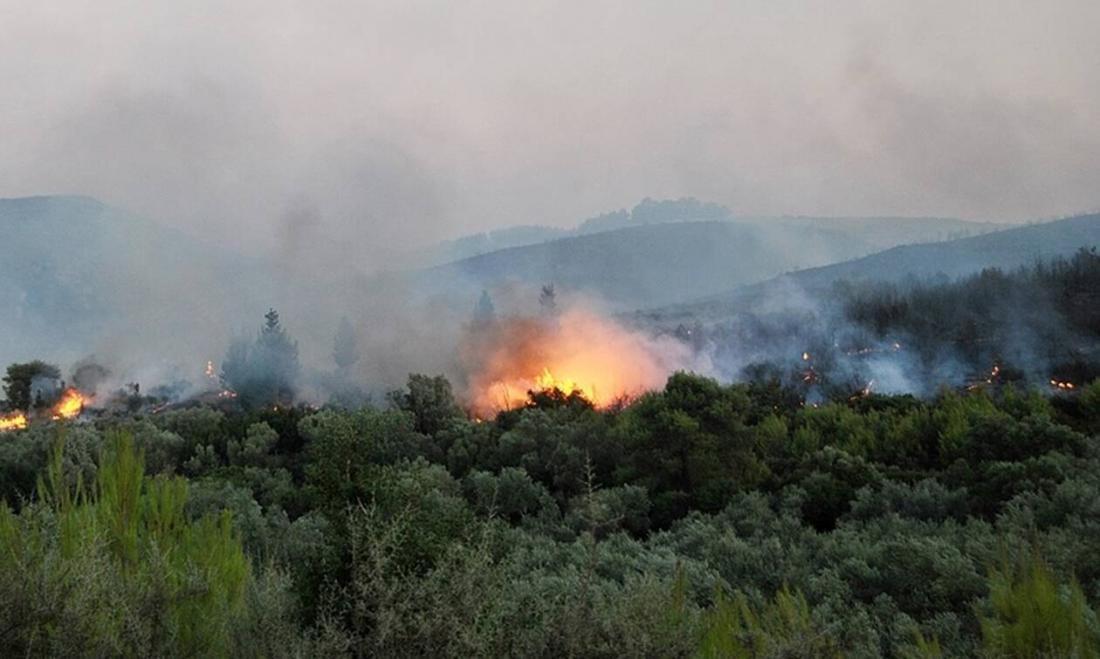 Φωτιά τώρα: Πυρκαγιά στο χωριό Αγαλάς της Ζακύνθου ...