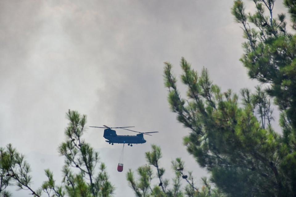  ΣΥΜΒΟΛΗ ΤΩΝ ΕΝΟΠΛΩΝ ΔΥΝΑΜΕΩΝ ΣΤΗ ΠΥΡΚΑΓΙΑ ΣΤΗ ΔΑΔΙΑ ΣΟΥΦΛΙΟΥ ΕΒΡΟΥ  