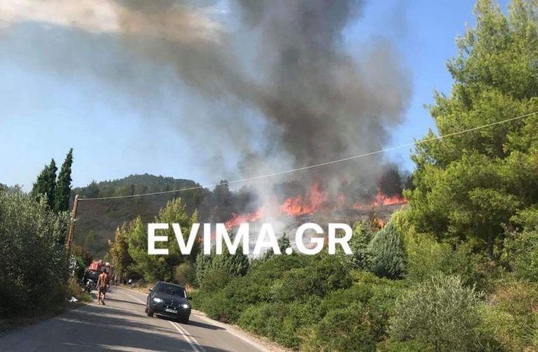 Οριοθετήθηκε η πυρκαγιά στις Ροβιές της Εύβοιας