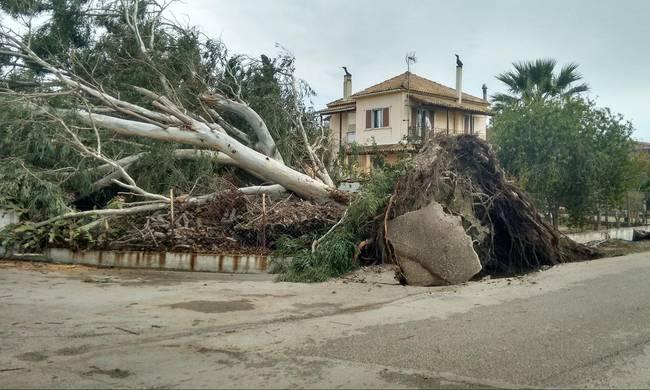 Η ΚΑΚΟΚΑΙΡΙΑ ΣΑΡΩΣΕ ΤΗΝ ΚΕΡΚΥΡΑ