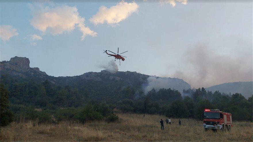 Μάχη με τις φλόγες όλη νύχτα των πυροσβεστών στην Τανάγρα