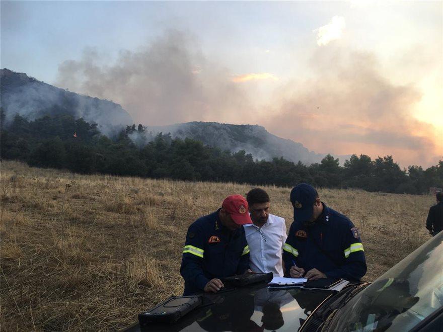 Μάχη με τις φλόγες όλη νύχτα των πυροσβεστών στην Τανάγρα