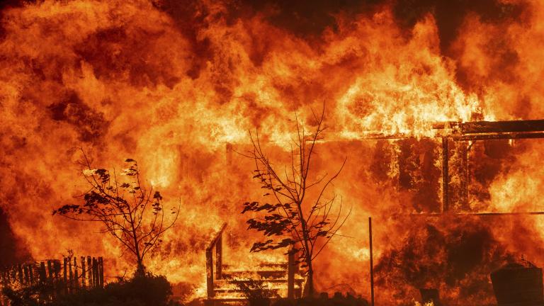 Μαίνεται η πυρκαγιά στο Μεντοτσίνο, η μεγαλύτερη στην ιστορία της Καλιφόρνια (ΦΩΤΟ)