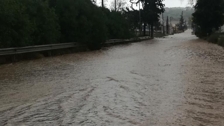 Βρέθηκε πτώμα γυναίκας στο Μαντούδι