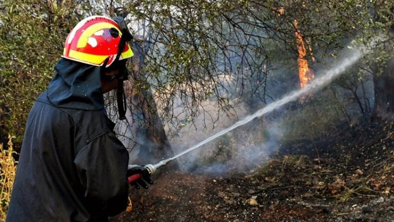 Σε ύφεση η πυρκαγιά στην Κερατέα - Ειδική μέριμνα για όσους εγκατέλειψαν τα σπίτια τους 