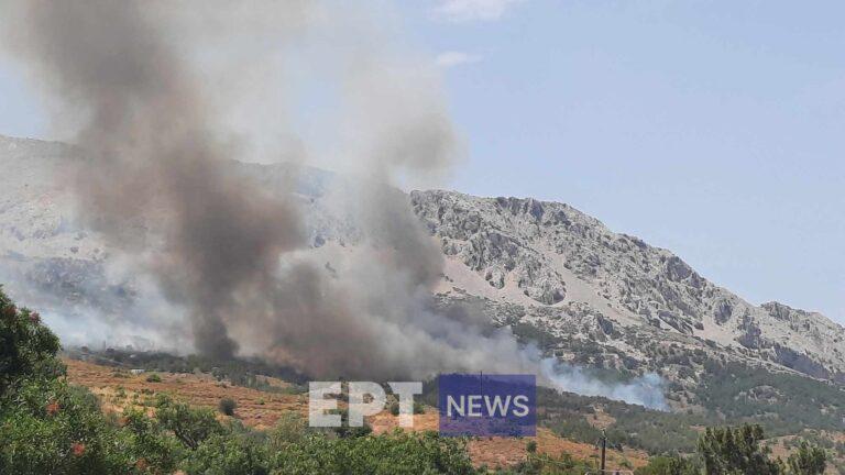 Χίος: Πυρκαγιά σε δασική έκταση στην περιοχή Ρεστά