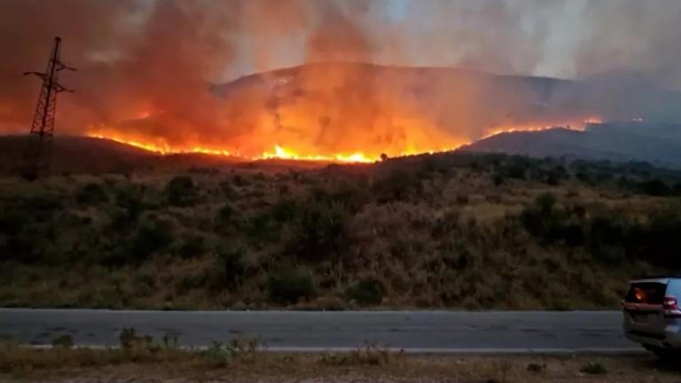 Φωτιές στην Αλβανία: Δεκάδες πύρινα μέτωπα σε δασικές εκτάσεις και χωράφια στη Βόρειο Ήπειρο