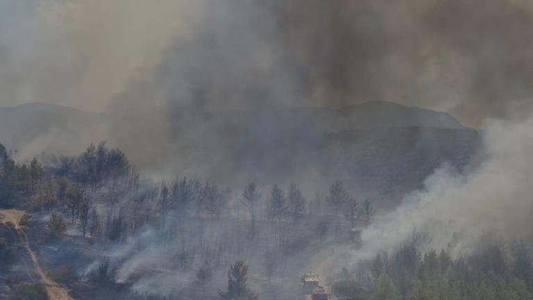 Ωρωπός: Σε ύφεση η πυρκαγιά που εκδηλώθηκε σε αγροτοδασική έκταση