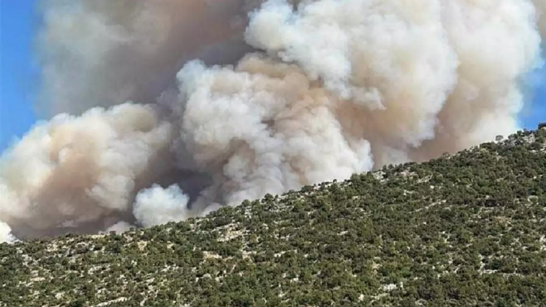 Φωτιά: Δύσκολη νύχτα στον Παλαμπά Θεσπρωτίας - Ζητήθηκε η απομάκρυνση των κατοίκων