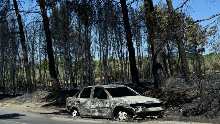 arogi.gov.gr: Άνοιξε η πλατφόρμα για τους πληγέντες από τις πυρκαγιές στην Αττική – Τι περιλαμβάνει η πρώτη αρωγή