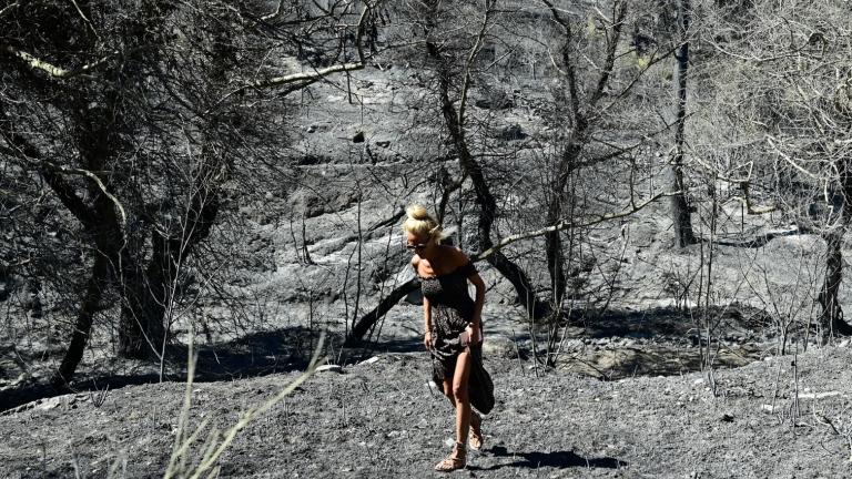 Φωτιά στην Αττική: «Κρανίου τόπος» με 85.000 καμμένα στρέμματα — Τα σενάρια που εξετάζονται για το πώς ξεκίνησε η πυρκαγιά