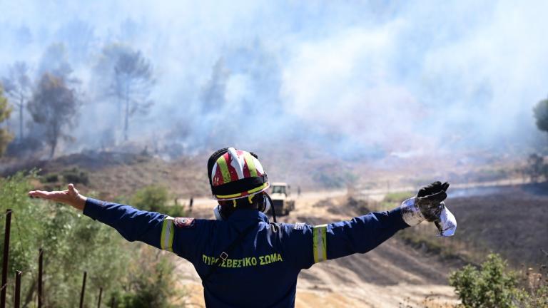 pyrosvestis pyrkagia attiki fire