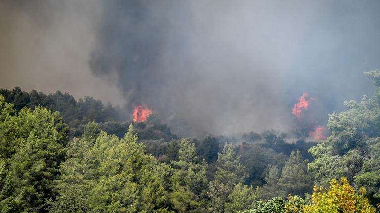 Εννέα φωτιές από το πρωί στην Ηλεία: Τραυματίστηκε πυροσβέστης