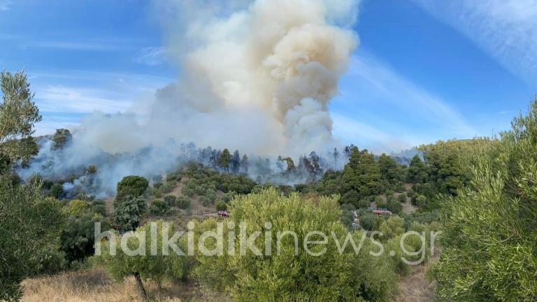 Βελτιωμένη η εικόνα της πυρκαγιάς στη Σιθωνία Χαλκιδικής