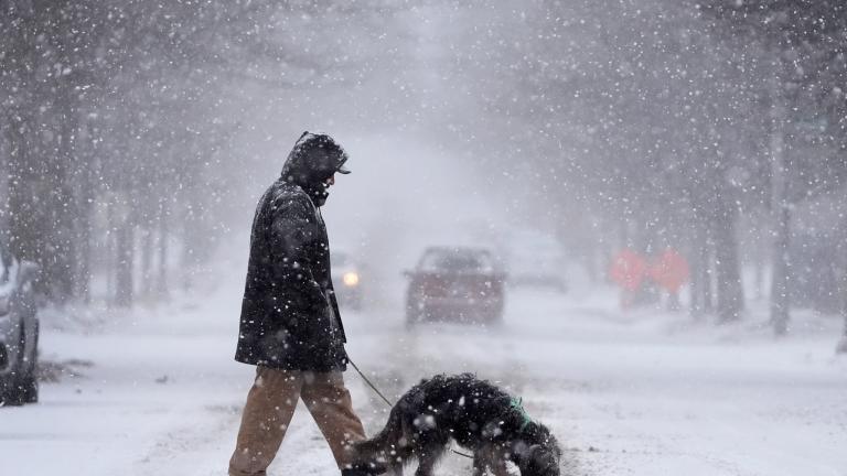 snowfall usa