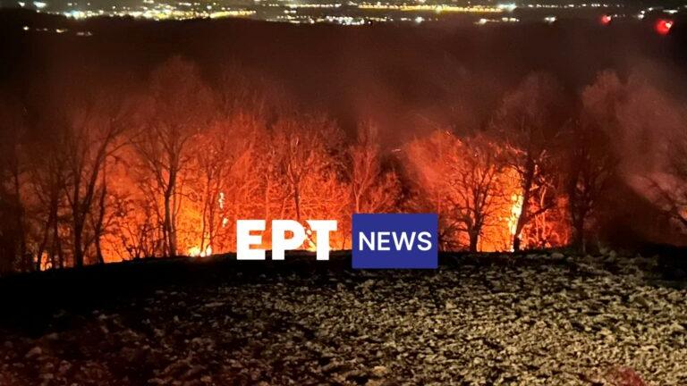 εΣε πύρινο κλοιό η Περιφ. Ενότητα Καστοριάς - Επτά τα ενεργά μέτωπα - Ένα στον δήμο Άργος Ορεστικού