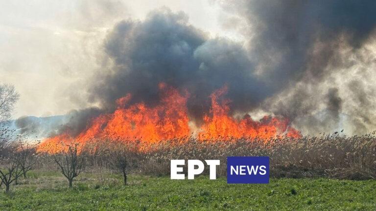 Μάχη με τις φλόγες στην Καστοριά – Κινητοποίηση της Πυροσβεστικής - Έξι τα ενεργά μέτωπα 